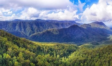 Our Earth, Our Home: Let's Give It Some Love!