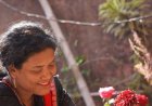 My blog