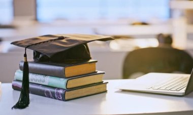 UK Student Guide to Modern Academic Coursework Support in Business and Data-Driven Studies